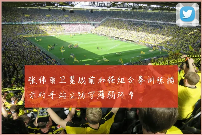 张伟丽卫冕战前加强组合拳训练揭示对手站立防守薄弱环节
