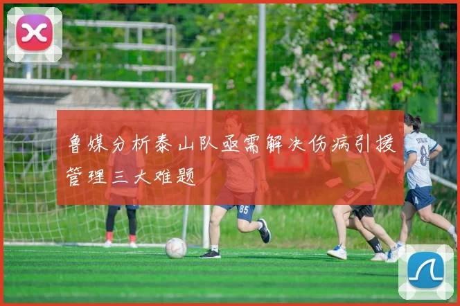 鲁媒分析泰山队亟需解决伤病引援管理三大难题